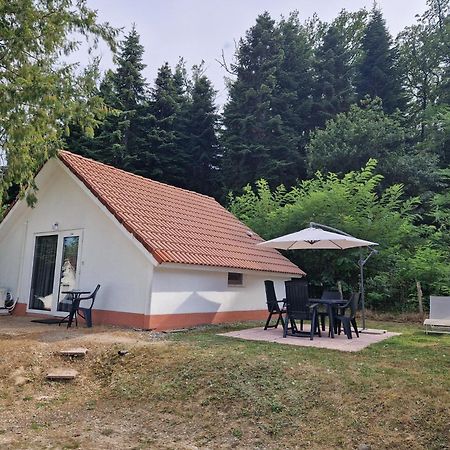 Mon Chalet En Ariege Avec Piscine Daumazan-sur-Arize ภายนอก รูปภาพ