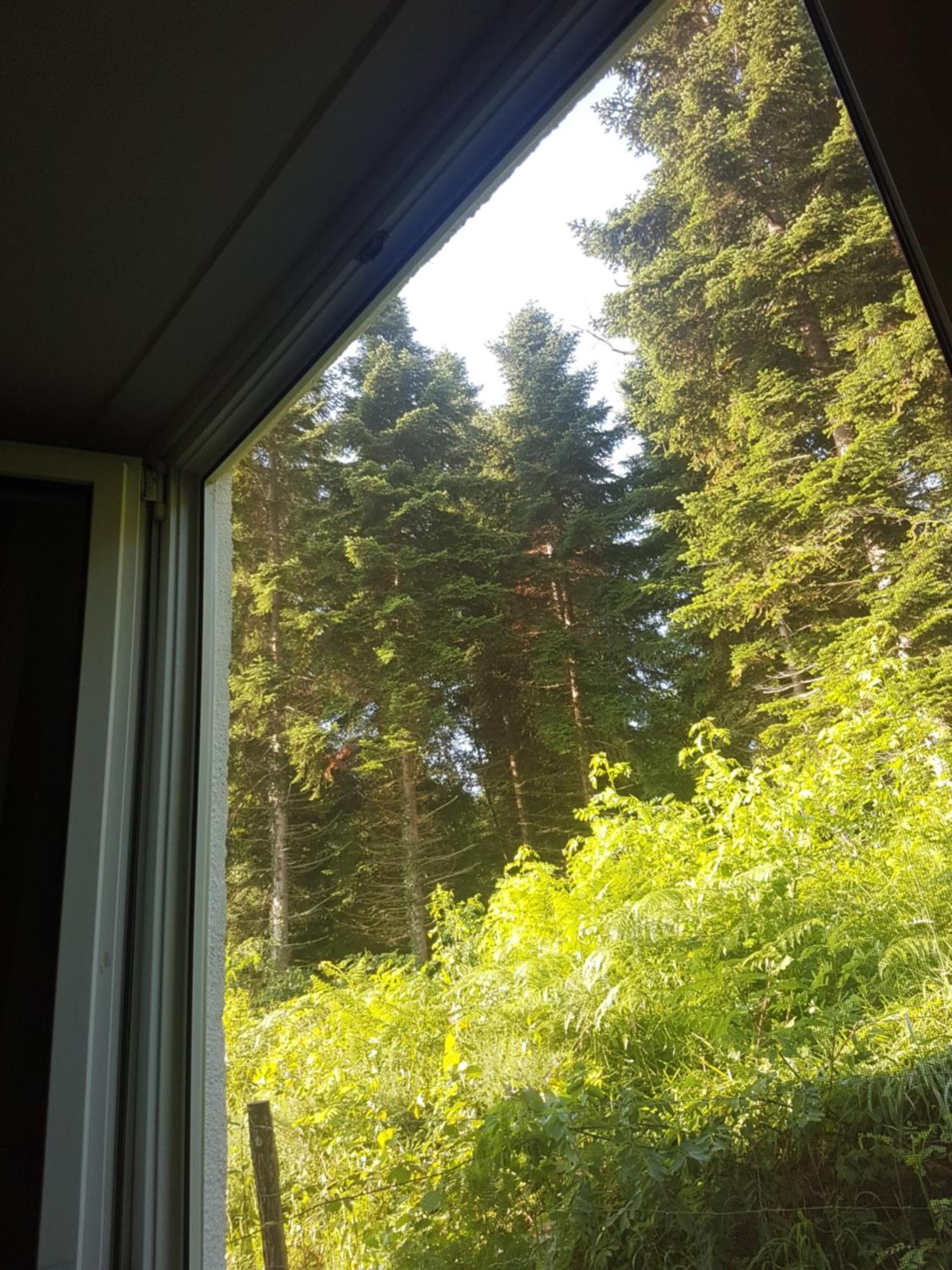 Mon Chalet En Ariege Avec Piscine Daumazan-sur-Arize ภายนอก รูปภาพ
