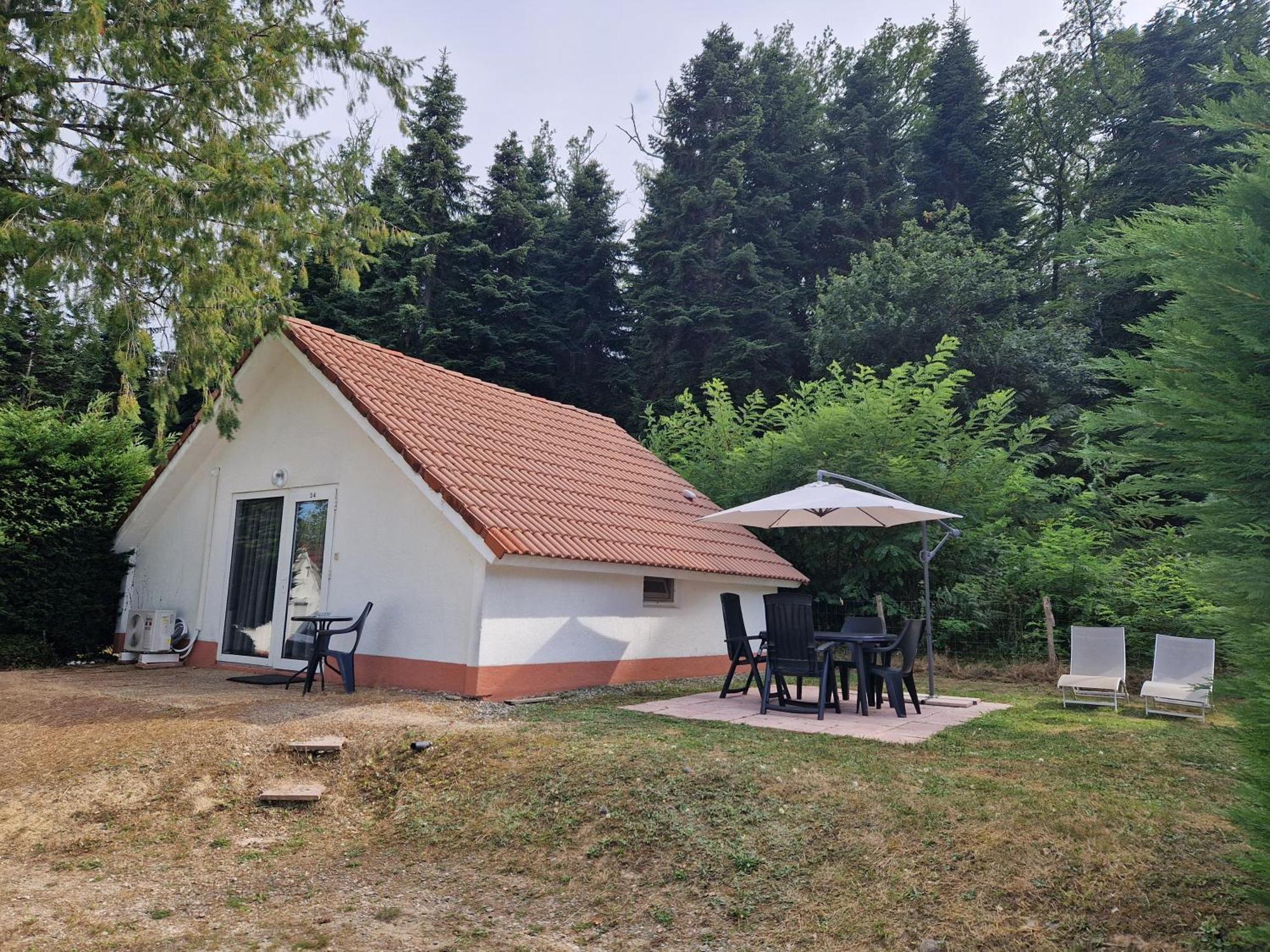 Mon Chalet En Ariege Avec Piscine Daumazan-sur-Arize ภายนอก รูปภาพ